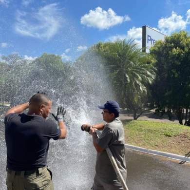 WhatsApp Image 2025-05-14 at 10.33.33